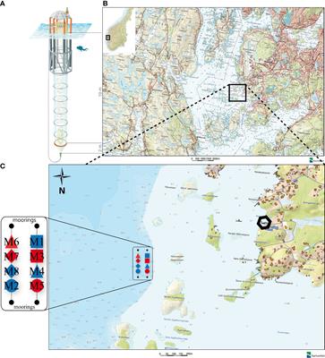 Ocean Acidification Alters the Predator – Prey Relationship Between Hydrozoa and Fish Larvae